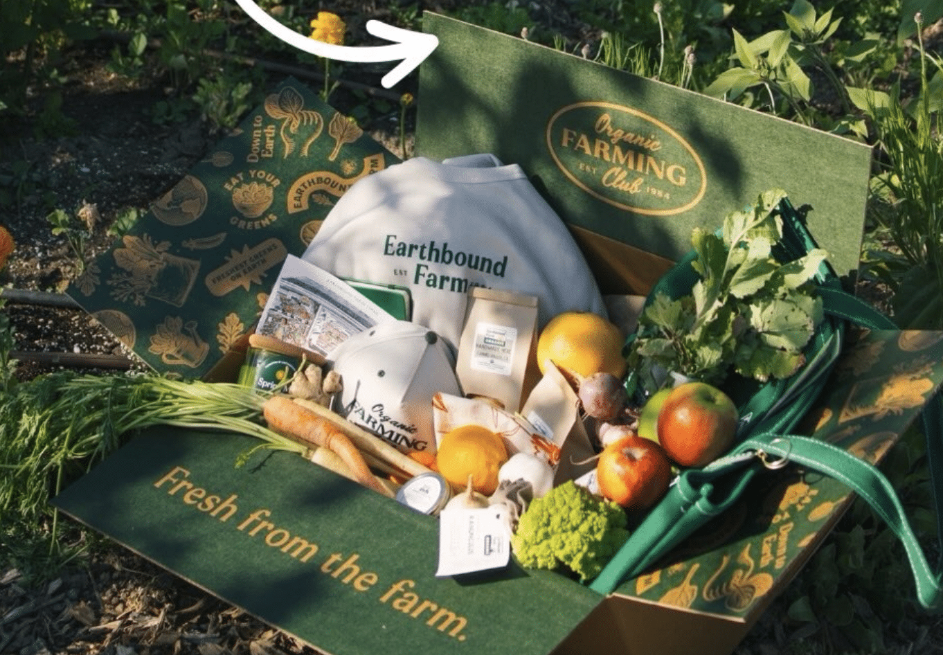 Win an Earth Day Box from Earthbound Farm: Join Our Instagram Giveaway! Win an Earth Day Box from Earthbound Farm: Join Our Instagram Giveaway!