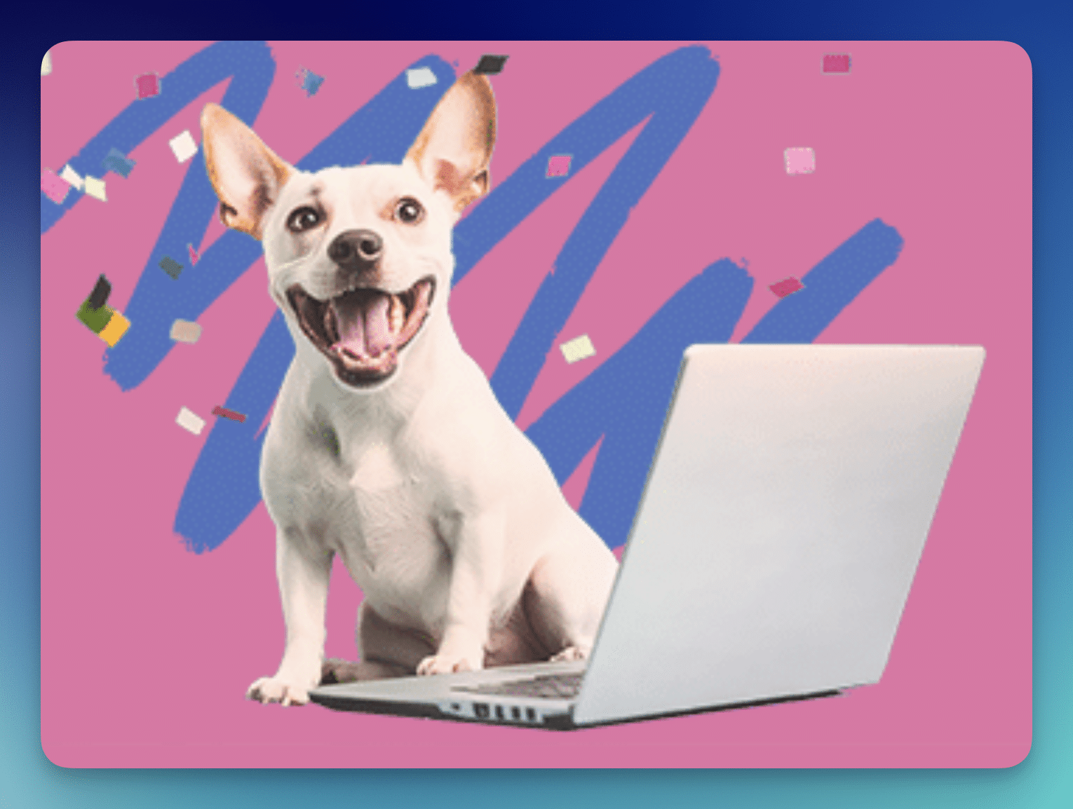 Join the DOGTV May Sweepstakes for a Chance to Win Prizes!